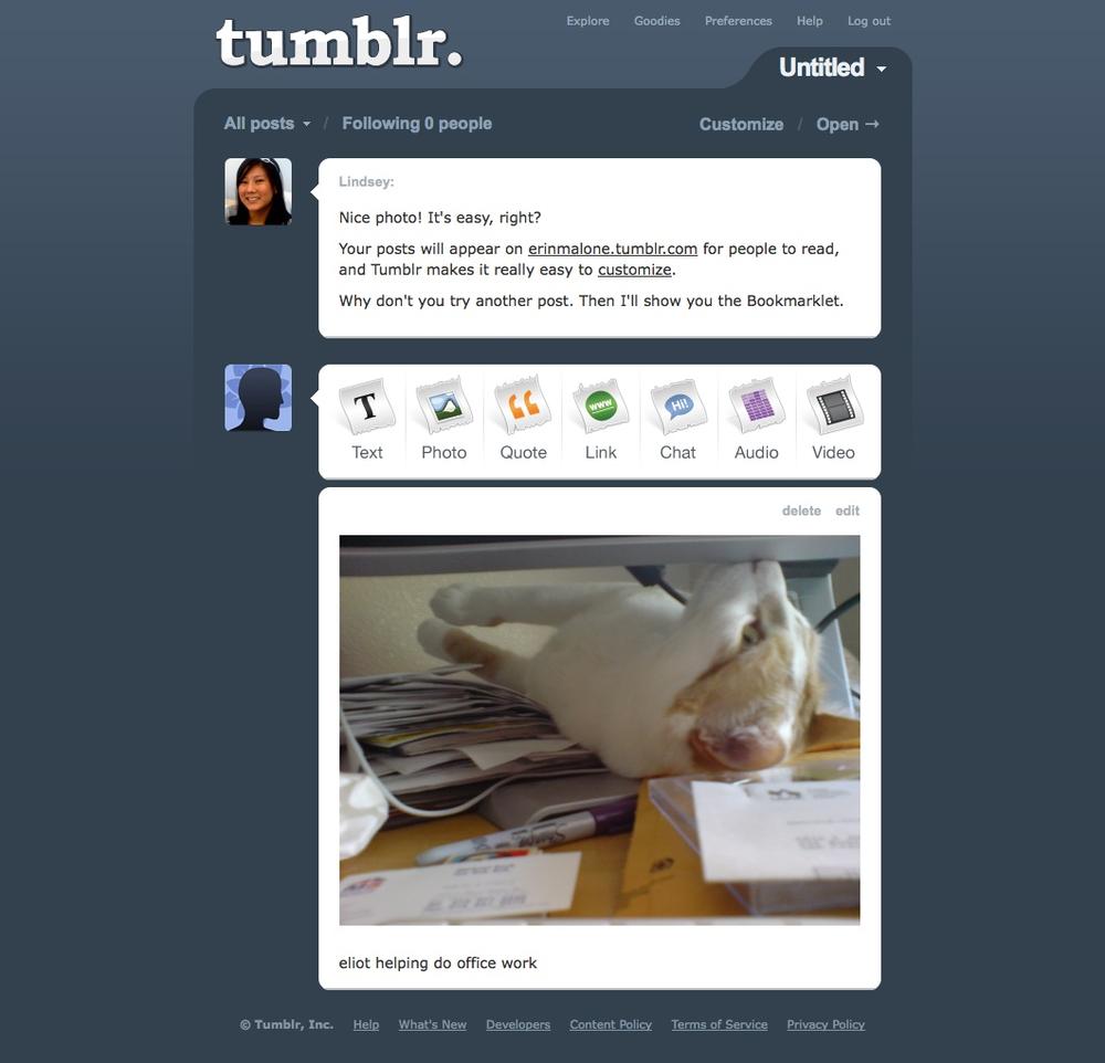 As the new user starts to engage in the site, Tumblr presents encouraging messages and prompts to try another feature.