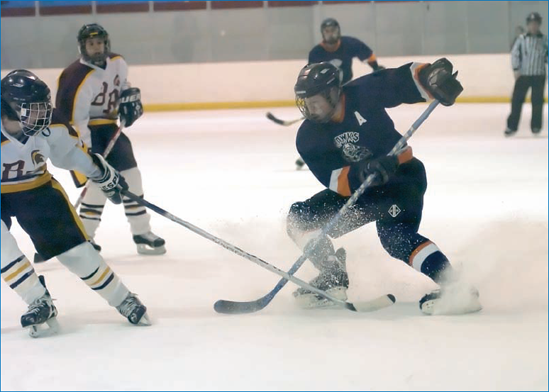 Pro photographers have access to the ice and to positioning that allows them to avoid having to take photos through Plexiglas.: © Joy Absalon