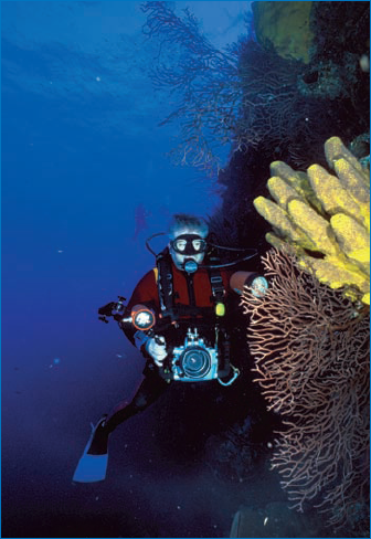 A shot of professional underwater photographer Bill Garvin at work with his SLR in an underwater housing along with specially mounted strobe lights.