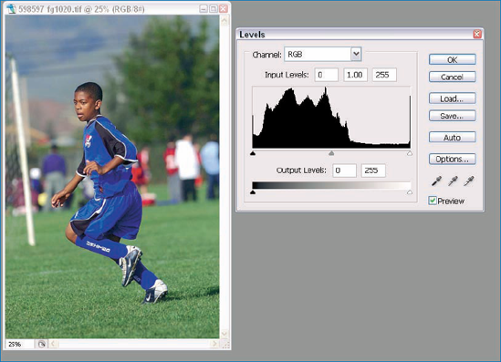 In this soccer photo, note how the histogram displays full tonality.: © Terrell Lloyd