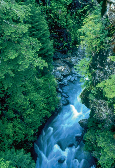 The flowing water in this photograph of a stream appears "solidified" due to a long exposure time