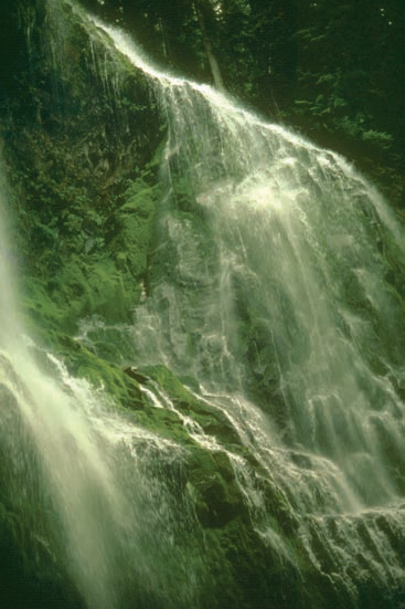 This photograph of Proxy Falls in Oregon was fast enough to stop some, but not all, water motion.