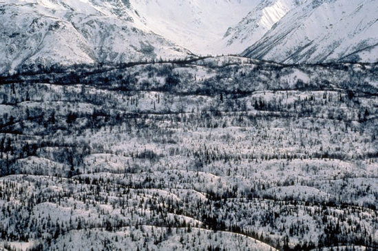 Even a typical landscape looks magical under snow.