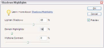 Use the Shadow/Highlights filter to bring out details in shadows and highlights.