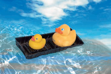 Now the ducks are adrift on a Photoshop sea.