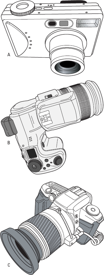 Digital camera bodies.