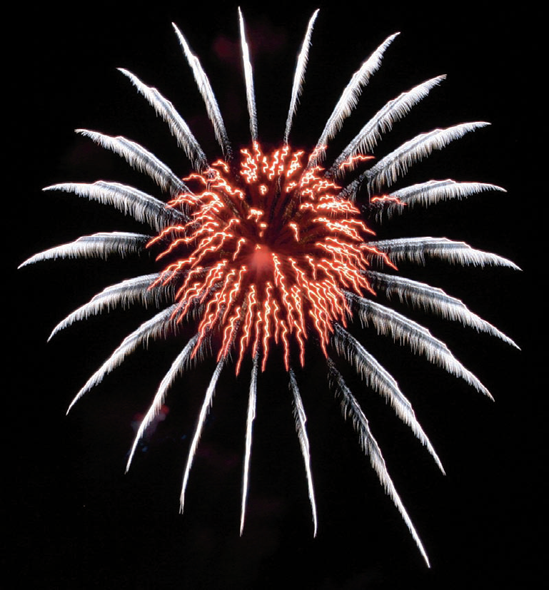 To shoot fireworks, use a tripod to get an unblurred shot.