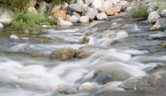 Find a shady spot, and you can make flowing water look like velvet.