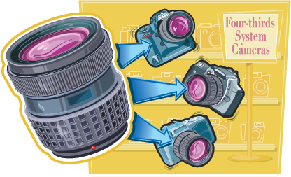 Learn About Digital Camera Lenses