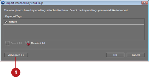 Import Tags Attached to Photos Using Advanced Options