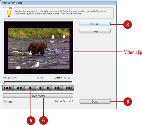 Capture Frames from a Digital Video in the Editor