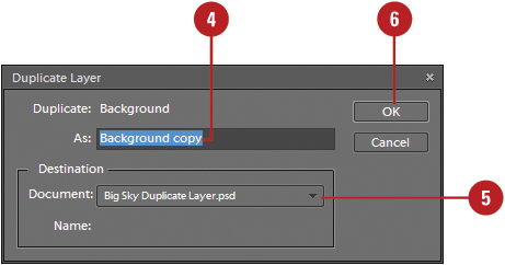 Duplicate a Layer