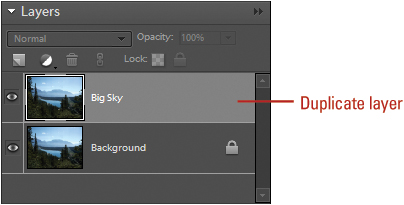 You can duplicate a layer with the Create New Layer button.