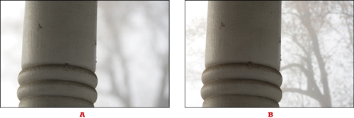 f/6.3 aperture blurs the background (A), whereas f/22 aperture brings the background into sharper focus (B).