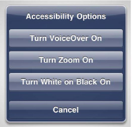 The Accessibility Options pop-up window