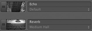 Disable Echo and Reverb on the Master Track.
