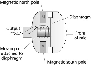 The element of a moving-coil microphone.