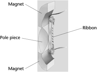 The elements of a ribbon microphone.