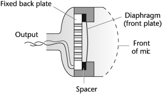 Cross-section of the element of a capacitor microphone.