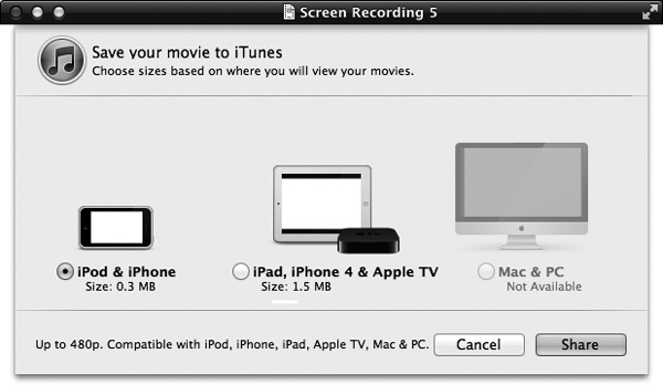 This dialog box gives you three size choices for the movie you’re exporting, which correspond to the screen sizes of the three Apple gadgets available. (The Computer option is just there in case you like to play videos right in iTunes, right on the screen. It’s dimmed if the original movie isn’t big enough to fill the screen.)