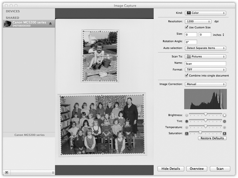 When you use the Show Details button, you get a new panel on the right, where you can specify all the tweaky details for the scan you’re about to make: resolution, size, and so on. See how the photos have individual dotted lines around them? That’s because Detect Separate Items is turned on. These will be scanned into two separate files.