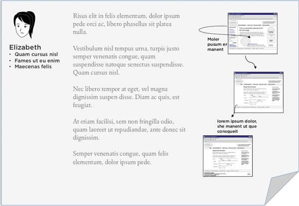 This mockup shows a story illustrated with screen shots and a brief summary of the user characteristics.