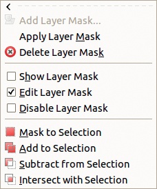 The Mask menu after the layer mask is created