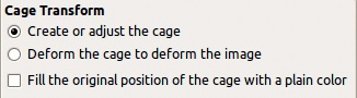 The Cage Transform tool options