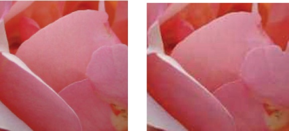 The initial photo of the rose (left); the same image after saving and reloading several times (right)