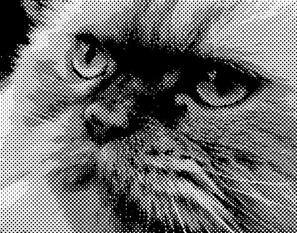 Halftone Kitty: a study in points