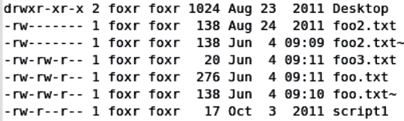 Image of Long listing in Linux