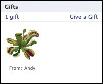 Facebook profiles feature a gift box where a visitor can initiate the gift-giving process.