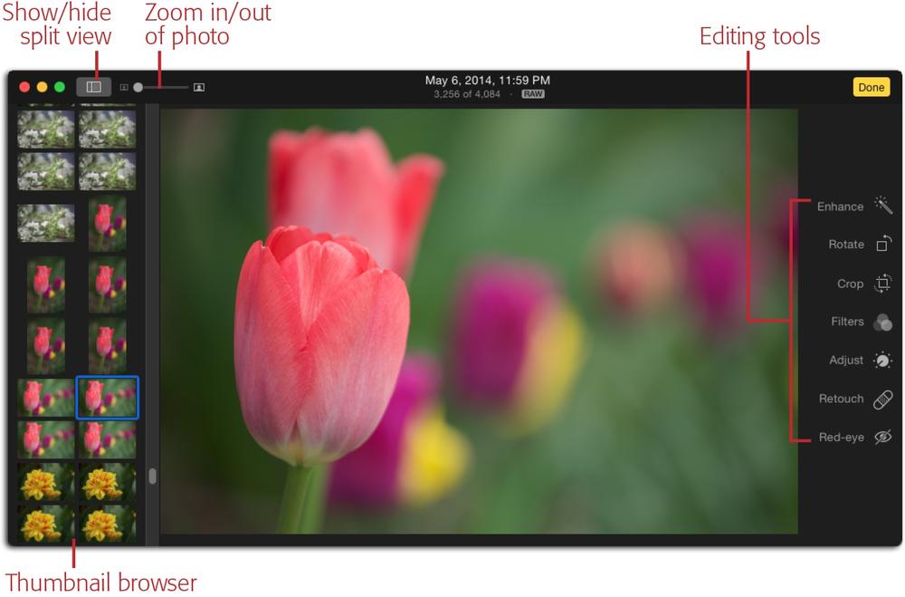Here’s what Edit mode looks like in Photos for Mac. The program displays the time and date you captured the picture at the top of the window. If the image was shot in raw format (page 34), you also see the raw badge shown here. To exit Edit mode and return from whence you came (viewing an album or whatever), click Done, or just press Return.