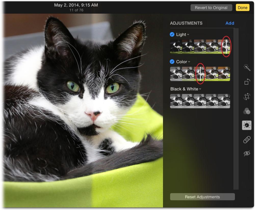 Photos’ Adjustments panel gives you maximum control over color and lighting.This figure shows a simulated split-screen view of a picture corrected using the Light and Color smart sliders (circled). The right half of the cat photo has brighter, more vibrant colors than the left half. Don’t let the simplicity of these sliders fool you; they’re more powerful than the ones in iPhoto and easier to use than the ones in Aperture and Adobe Photoshop Lightroom.