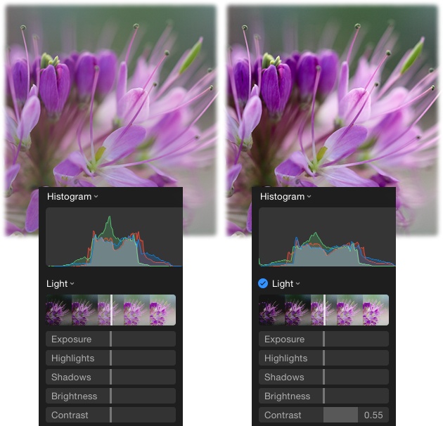 While the overall lighting in this close-up shot is nice, the picture lacks contrast. Dragging the Contrast slider to the right helps improve things.Notice how the histogram info is bunched in the middle in the original (left) and expanded over a wider tonal range after boosting the contrast (right).