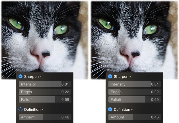 Left: Behold, Photos’ incredibly powerful sharpening controls.Right: As you can see, the Definition adjustment makes this picture look even sharper. For example, notice how much more detail you can see in Sherlock’s fur and nose area.