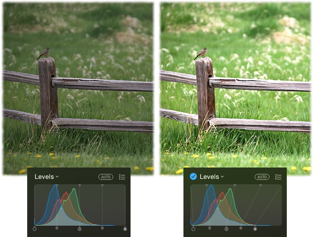 As you can see, a Levels adjustment can do wonders for a picture’s overall lighting and contrast.Notice the big gap on the right side of the original histogram (left); that indicates that the picture has no real highlights. By dragging the Whites slider inward, the whole image gets lighter (technically speaking, darker tones are remapped to lighter ones).