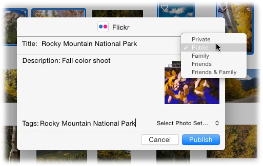 Here you can add a title, description, and tags to the stuff you upload to Flickr. Use the menu at the upper right to set privacy options, and the one at the lower right to specify which Flickr set (think “album”) you want to tuck the images into.