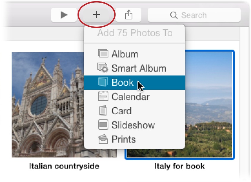 When you start a project from the + menu (circled), Photos reports how many pictures it’ll include at the top of the menu (here, that’s 75).If you’re viewing the contents of an album when you create the project, be careful that no individual thumbnails are selected, or else Photos will add only those pictures to your project.