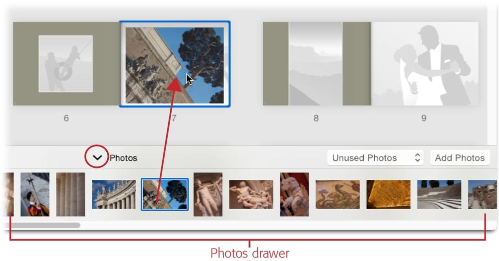 Initially, the menu at the lower right of All Pages view is set to Unused Photos (as shown here), which means you see all the unused images in your project in the Photos drawer (you can change this menu to Placed Photos instead). To place a picture onto a page, drag it from the drawer and drop it as shown here. To collapse the drawer, click the down-pointing arrow (circled). To expand it, click the same button again.