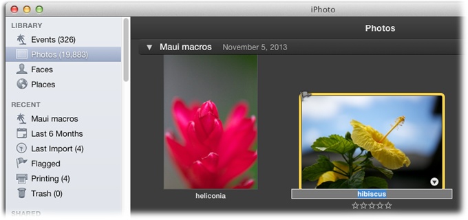 Turn on titles by choosing View→Titles, and then you can rename a photo by clicking its existing name and typing away. To rename the next one, press Tab to highlight its name. (To highlight the previous thumbnail’s name, press Shift-Tab instead.) Proceed this way (Tab, type; Tab, type) until you’re finished.