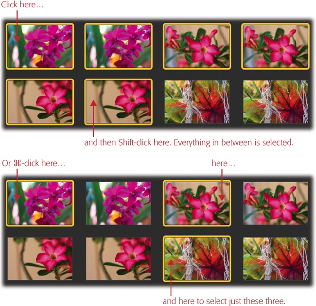 Top: To select a block of photos (as indicated by the yellow border on each one), click the first one and then Shift-click the last one. iPhoto selects all the files in between the ones you clicked.Bottom: To select nonadjacent photos, ⌘-click them. To remove one of the photos from your selection, ⌘-click it again.