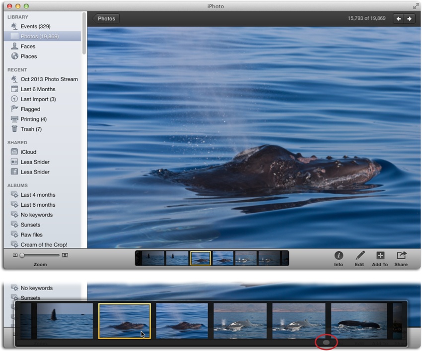 Top: Here’s how most people open pictures, at least at first. It’s comforting to see landmarks like the Source list and the toolbar. The downside is that those other screen elements limit the size of the enlarged photo; that’s why you might want to consider Full Screen view.Bottom: When you point your cursor at the filmstrip at the bottom of the window, it enlarges it so you can see the other photos in that Event or album; to view another photo at the same size, give it a click. Use the scroll bar handle beneath the filmstrip (circled) to cruise around inside the Event or album to pick another photo to scrutinize.