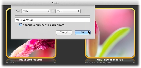 iPhoto’s batch-processing feature lets you specify titles, dates, and descriptions for any number of photos you select. When you title a batch of pictures, be sure to turn on “Append a number to each photo” to number them in sequence, too.