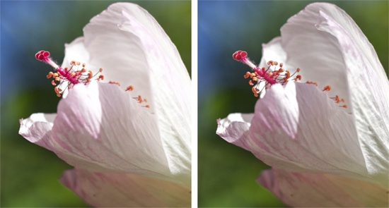 Left: The Highlights and Shadows sliders are just more examples of the power tucked into the Adjust panel. Even though the photo on the left looks pretty good, there’s a lot of detail that’s being lost in the highlights.Right: Drag the Highlights slider to the right and presto! A whole world of detail emerges.