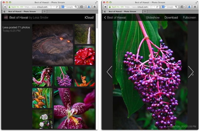Left: With a Public Website, your photos appear as a collage atop a black background. Unfortunately, you can’t customize a single thing about it, but hey, it looks good!Right: Visitors can click any thumbnail to see an enlargement, and use the arrows on either side to move back and forth through pictures. (If the arrows disappear, wiggle your mouse to get them back.) Better yet, click Slideshow and then click Fullscreen. Now sit back and enjoy the show.