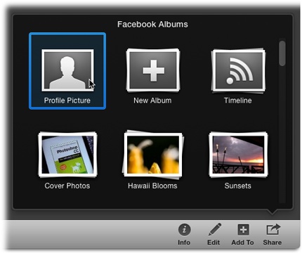 The Profile Picture option appears in the Share menu when you have just one photo selected. When you give it a click, iPhoto asks you to confirm your choice. In the resulting message pane (not shown), click Set.