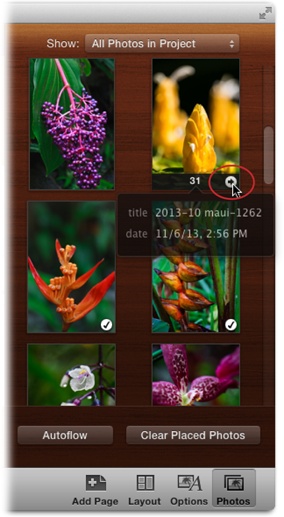 The Photos panel shows you the pictures in your project. You can use the Show pop-up menu at the top to switch between viewing all the photos in your project, only the ones that have been placed on a page, unplaced photos, or the photos in one of the Recent items in your Source list, like the last-viewed Event, Last Import, and so on.A checkmark on a thumbnail indicates that the photo is already in your book. If you point to a thumbnail, iPhoto displays a little number at the bottom indicating what page(s) it lives on. To visit that page, click the arrow to its right (circled).You can’t change the arrangement of photo thumbnails in the Photos panel. If you want your photos to appear in an order other than chronological, create an album and reorder the photos there before starting your book project.