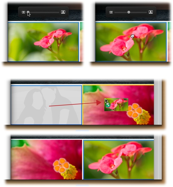 Top: Click a photo to make its Zoom slider appear (the blue border lets you know the photo is selected); drag the slider to enlarge the photo within its frame (left). Once you’ve enlarged a photo, you can drag it to adjust its position within its frame; your cursor turns into a tiny hand (right).Middle: To swap photos, click and drag one photo atop another. The photo you’re dragging disappears from its frame and appears as a miniature beneath your cursor.Bottom: When you release your mouse button, the two photos swap places.