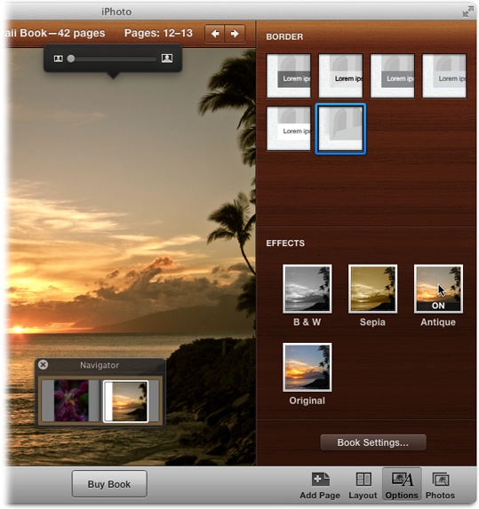 Double-click a photo in Single Page view to open the Options panel shown here (clicking Options in the toolbar works, too). The icons at the top of the panel let you add a border to your photo; you can add text to this border, if you like (see page 247). The buttons in the Effects section let you add treatments to the photo: Click an effect once to apply it; click it again to remove it. The Antique effect is applied in this example.You can use the Navigator panel (shown here at bottom left) to move around within a single page while you’re zoomed in.